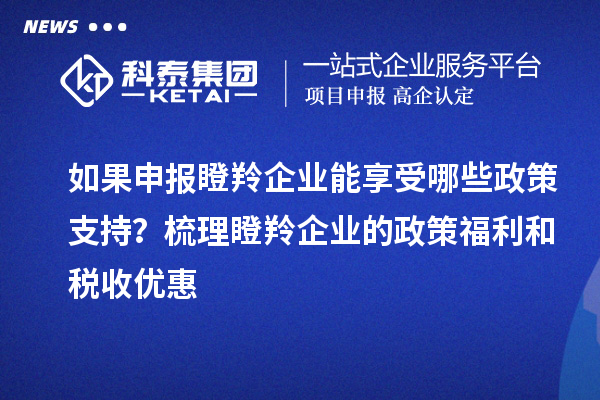 如果申報(bào)瞪羚企業(yè)能享受哪些政策支持？梳理瞪羚企業(yè)的政策福利和稅收優(yōu)惠