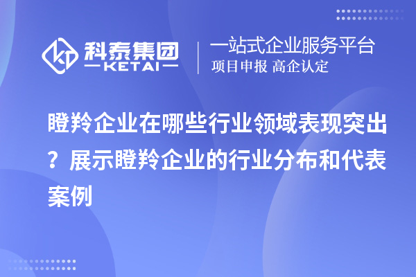 瞪羚企業(yè)在哪些行業(yè)領(lǐng)域表現(xiàn)突出？展示瞪羚企業(yè)的行業(yè)分布和代表案例