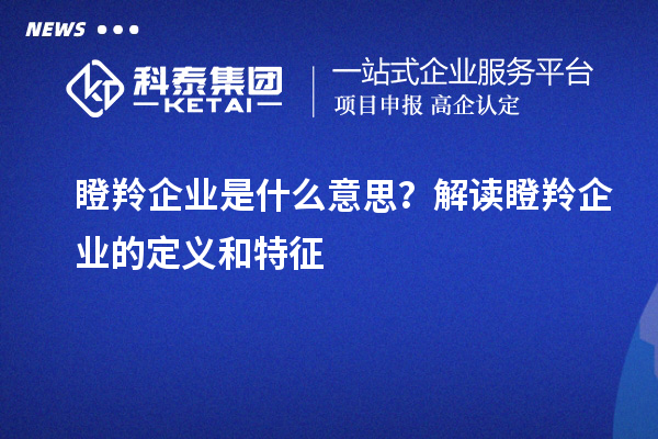 瞪羚企業(yè)是什么意思？解讀瞪羚企業(yè)的定義和特征