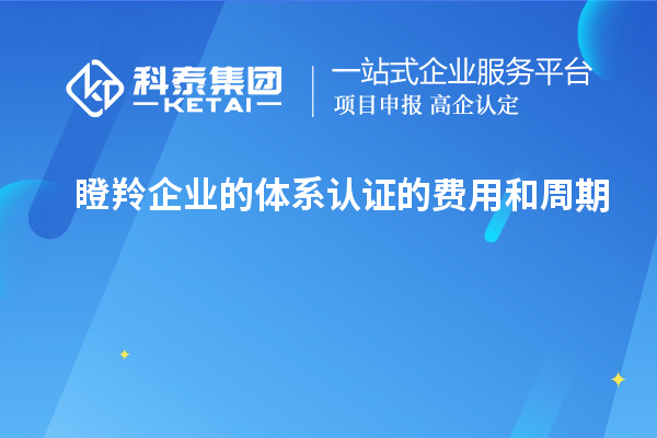 瞪羚企業(yè)的體系認證的費用和周期