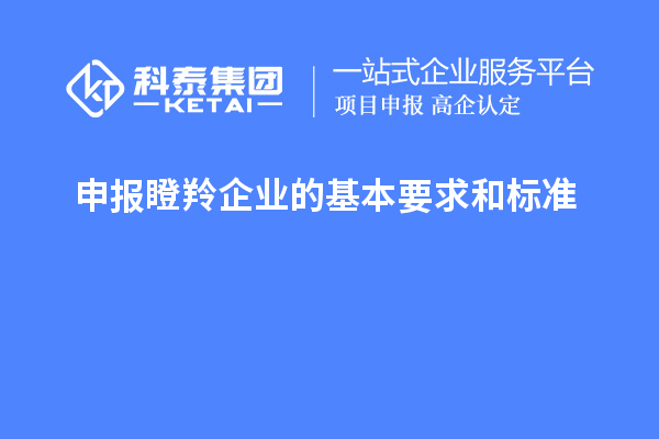 申報瞪羚企業(yè)的基本要求和標準