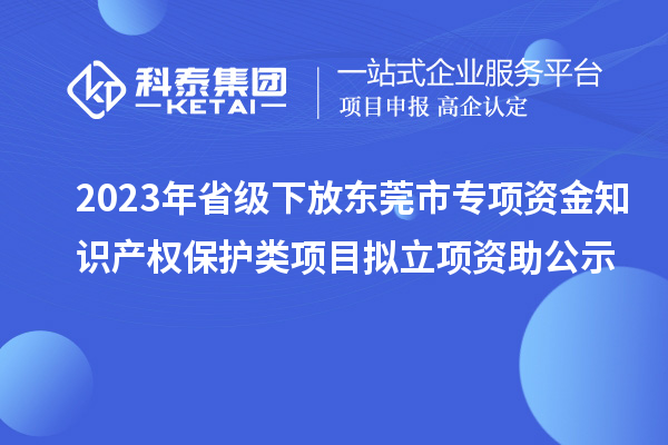 2023年省級下放東莞市專項資金知識產(chǎn)權(quán)保護類項目擬立項資助公示