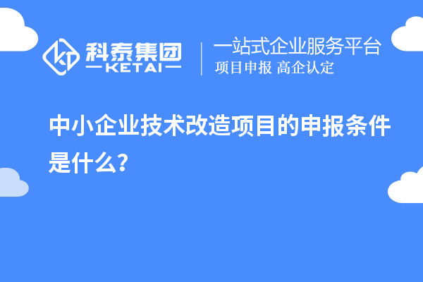 中小企業(yè)<a href=http://armta.com/fuwu/jishugaizao.html target=_blank class=infotextkey>技術(shù)改造</a>項目的申報條件是什么？