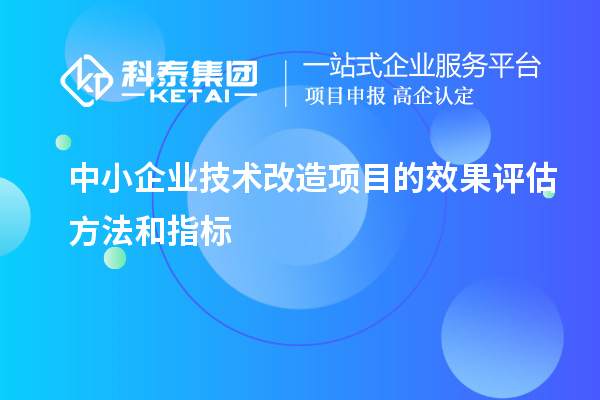 中小企業(yè)技術(shù)改造項(xiàng)目的效果評(píng)估方法和指標(biāo)