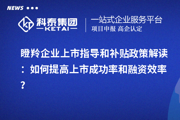 瞪羚企業(yè)上市指導(dǎo)和補(bǔ)貼政策解讀：如何提高上市成功率和融資效率？