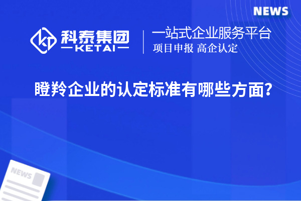 瞪羚企業(yè)的認(rèn)定標(biāo)準(zhǔn)有哪些方面？