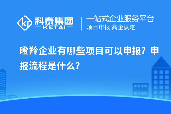 瞪羚企業(yè)有哪些項(xiàng)目可以申報(bào)？申報(bào)流程是什么？