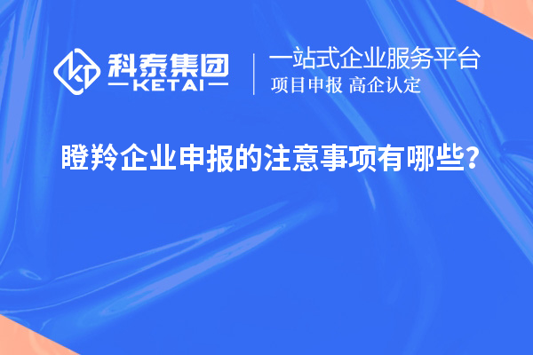 瞪羚企業(yè)申報(bào)的注意事項(xiàng)有哪些？