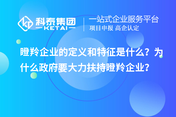 瞪羚企業(yè)的定義和特征是什么？為什么政府要大力扶持瞪羚企業(yè)？