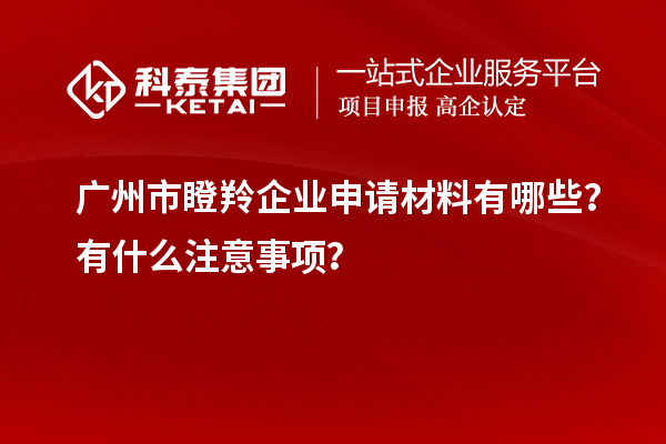 廣州市瞪羚企業(yè)申請(qǐng)材料有哪些？有什么注意事項(xiàng)？