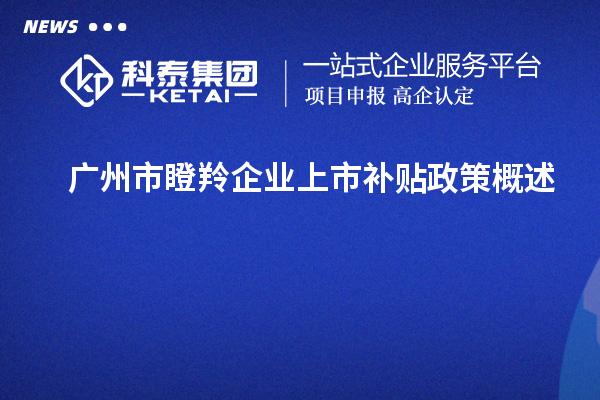 廣州市瞪羚企業(yè)上市補(bǔ)貼政策概述