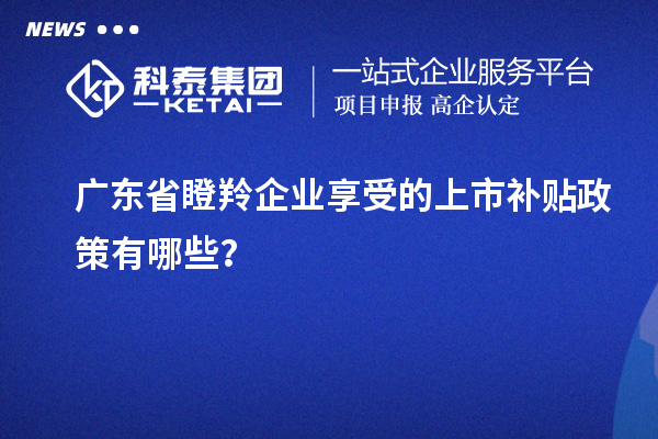 廣東省瞪羚企業(yè)享受的上市補(bǔ)貼政策有哪些？