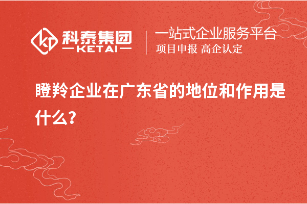 瞪羚企業(yè)在廣東省的地位和作用是什么？