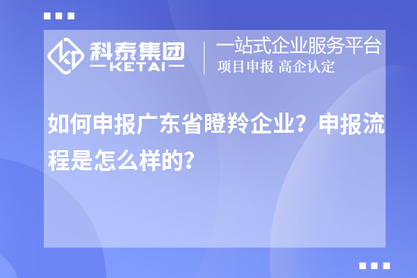 如何申報廣東省瞪羚企業(yè)？申報流程是怎么樣的？