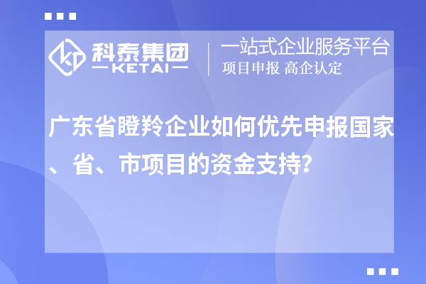 廣東省瞪羚企業(yè)如何優(yōu)先申報國家、省、市項目的資金支持？