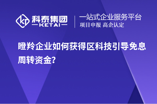 瞪羚企業(yè)如何獲得區(qū)科技引導免息周轉(zhuǎn)資金？