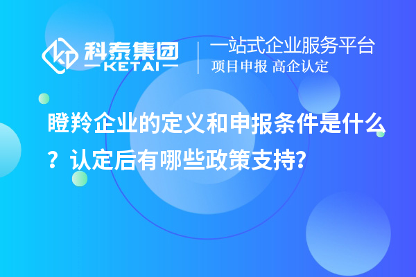 瞪羚企業(yè)的定義和申報條件是什么？認定后有哪些政策支持？