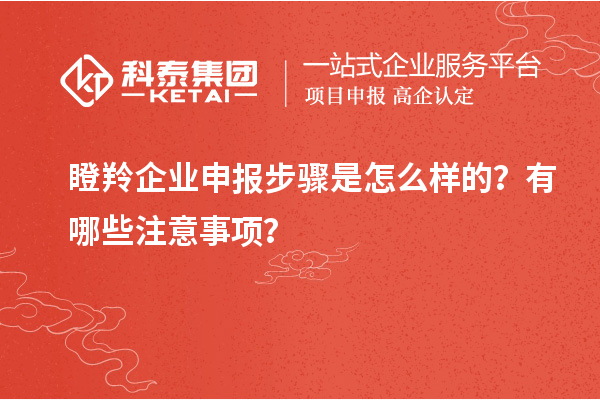 瞪羚企業(yè)申報(bào)步驟是怎么樣的？有哪些注意事項(xiàng)？