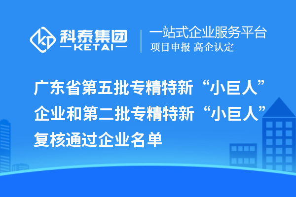 廣東省第五批專精特新“小巨人”企業(yè)和第二批專精特新“小巨人”復(fù)核通過企業(yè)名單