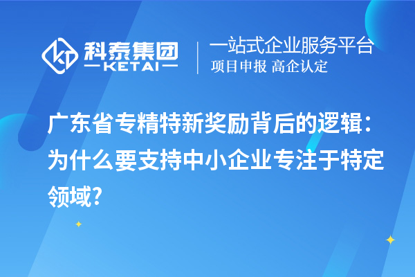 廣東省專精特新獎(jiǎng)勵(lì)背后的邏輯：為什么要支持中小企業(yè)專注于特定領(lǐng)域?