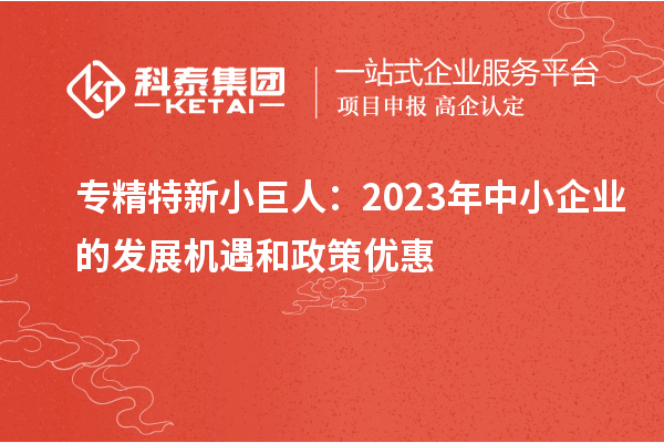 專精特新小巨人：2023年中小企業(yè)的發(fā)展機遇和政策優(yōu)惠