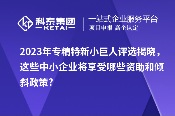 2023年專精特新小巨人評選揭曉，這些中小企業(yè)將享受哪些資助和傾斜政策?