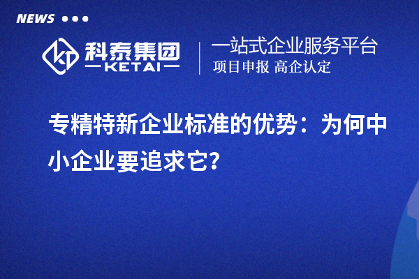 專精特新企業(yè)標(biāo)準(zhǔn)的優(yōu)勢(shì)：為何中小企業(yè)要追求它？