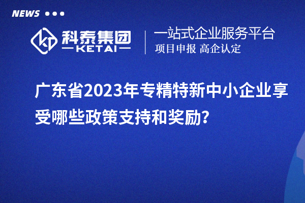 廣東省2023年專(zhuān)精特新中小企業(yè)享受哪些政策支持和獎(jiǎng)勵(lì)？