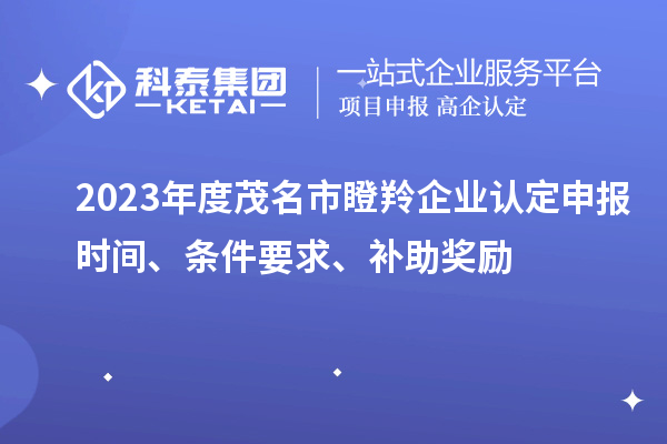 2023年度茂名市瞪羚企業(yè)認(rèn)定申報時間、條件要求、補助獎勵