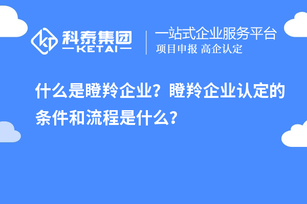 什么是瞪羚企業(yè)？瞪羚企業(yè)認(rèn)定的條件和流程是什么？