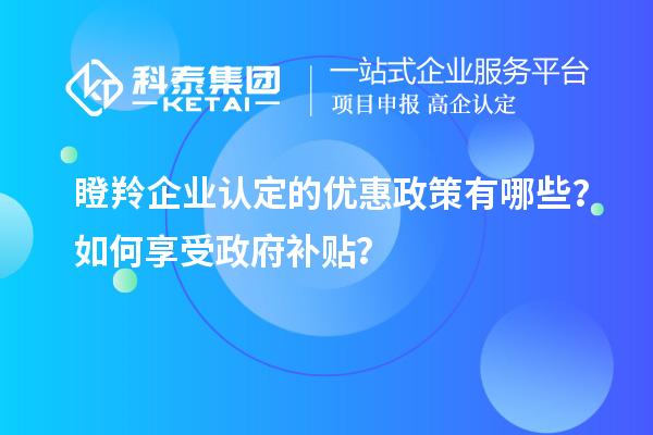 瞪羚企業(yè)認(rèn)定的優(yōu)惠政策有哪些？如何享受政府補(bǔ)貼？