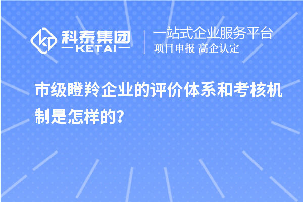 市級(jí)瞪羚企業(yè)的評(píng)價(jià)體系和考核機(jī)制是怎樣的？