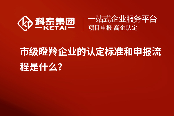 市級(jí)瞪羚企業(yè)的認(rèn)定標(biāo)準(zhǔn)和申報(bào)流程是什么？