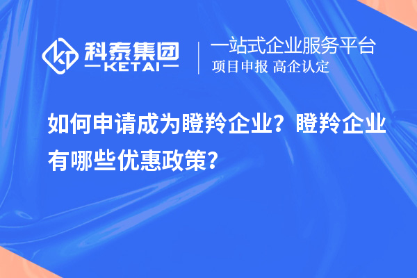 如何申請(qǐng)成為瞪羚企業(yè)？瞪羚企業(yè)有哪些優(yōu)惠政策？