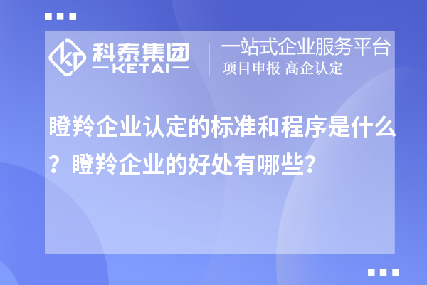 瞪羚企業(yè)認(rèn)定的標(biāo)準(zhǔn)和程序是什么？瞪羚企業(yè)的好處有哪些？