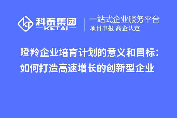 瞪羚企業(yè)培育計(jì)劃的意義和目標(biāo)：如何打造高速增長(zhǎng)的創(chuàng)新型企業(yè)