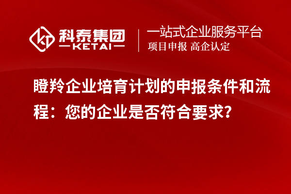 瞪羚企業(yè)培育計劃的申報條件和流程：您的企業(yè)是否符合要求？