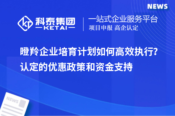 瞪羚企業(yè)培育計(jì)劃如何高效執(zhí)行？認(rèn)定的優(yōu)惠政策和資金支持