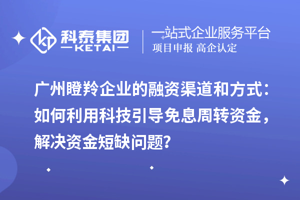 廣州瞪羚企業(yè)的融資渠道和方式：如何利用科技引導(dǎo)免息周轉(zhuǎn)資金，解決資金短缺問題？