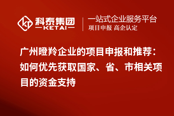 廣州瞪羚企業(yè)的項目申報和推薦：如何優(yōu)先獲取國家、省、市相關(guān)項目的資金支持