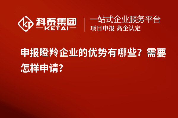 申報瞪羚企業(yè)的優(yōu)勢有哪些？需要怎樣申請？