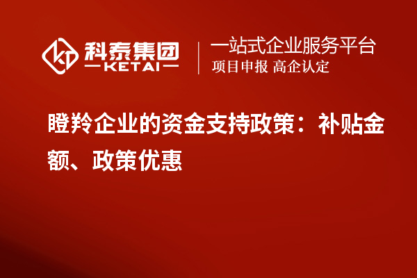 瞪羚企業(yè)的資金支持政策：補(bǔ)貼金額、政策優(yōu)惠