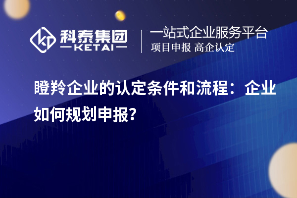 瞪羚企業(yè)的認(rèn)定條件和流程：企業(yè)如何規(guī)劃申報？