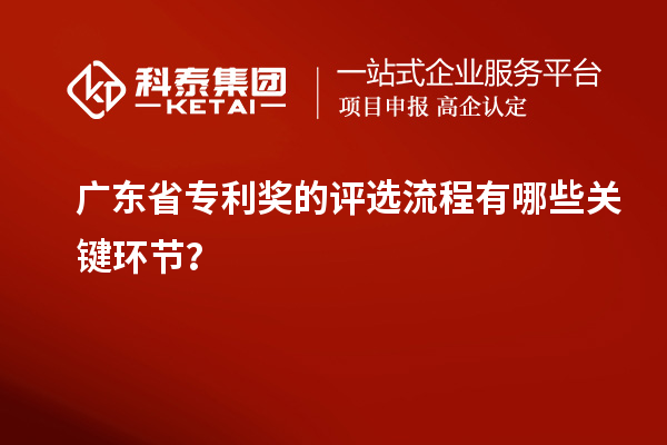 廣東省專利獎(jiǎng)的評(píng)選流程有哪些關(guān)鍵環(huán)節(jié)？