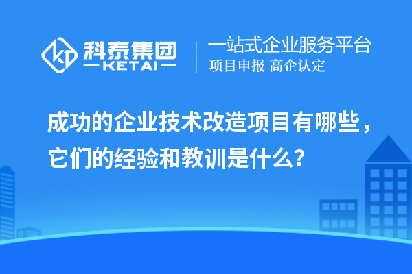 成功的企業(yè)技術(shù)改造項目有哪些，它們的經(jīng)驗和教訓(xùn)是什么？