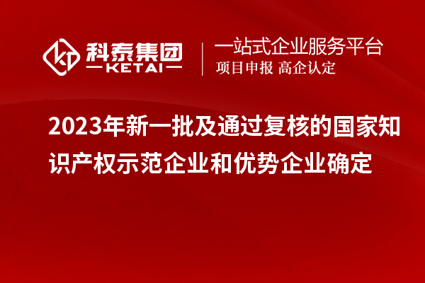 2023年新一批及通過復(fù)核的國家知識產(chǎn)權(quán)示范企業(yè)和優(yōu)勢企業(yè)確定