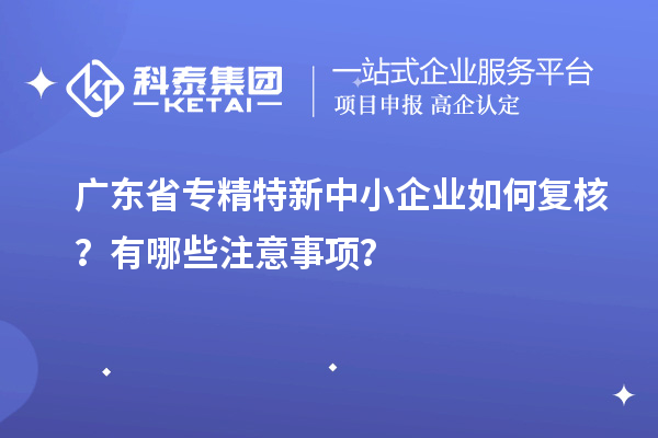 廣東省專精特新中小企業(yè)如何復(fù)核？有哪些注意事項(xiàng)？