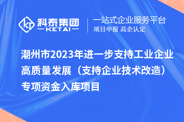 潮州市2023年進一步支持工業(yè)企業(yè)高質量發(fā)展（支持企業(yè)技術改造）專項資金入庫項目