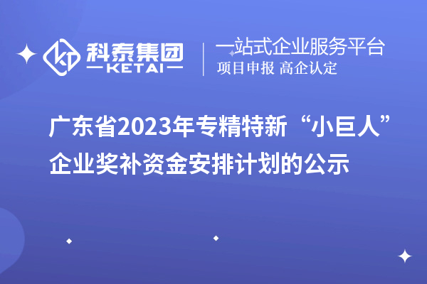 廣東省2023年專精特新“小巨人”企業(yè)獎補(bǔ)資金安排計劃的公示