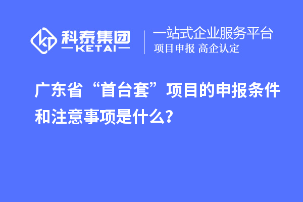 廣東省“首臺(tái)套”項(xiàng)目的申報(bào)條件和注意事項(xiàng)是什么？